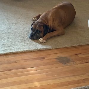 Meet your Posher, Joyce